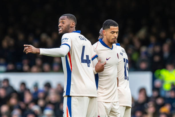 场中的顶级 场中的顶级